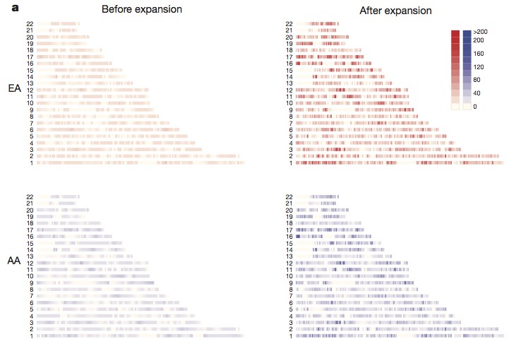 Fu et al (2007) Fig 3a