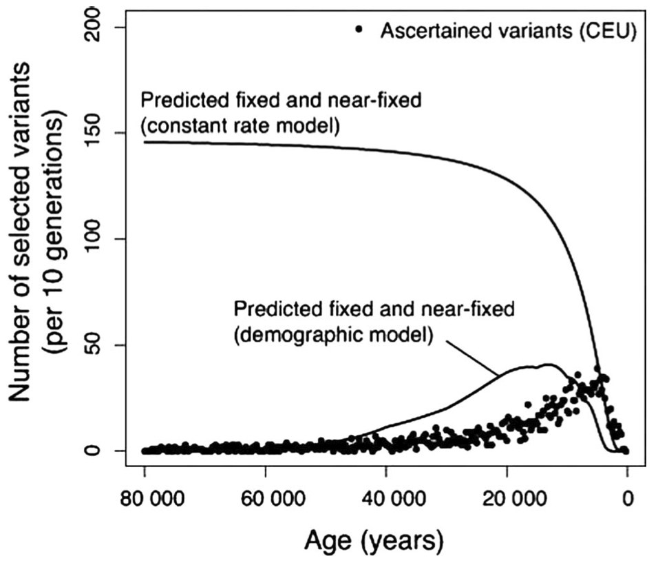 Hawks et al (2007) Fig 3